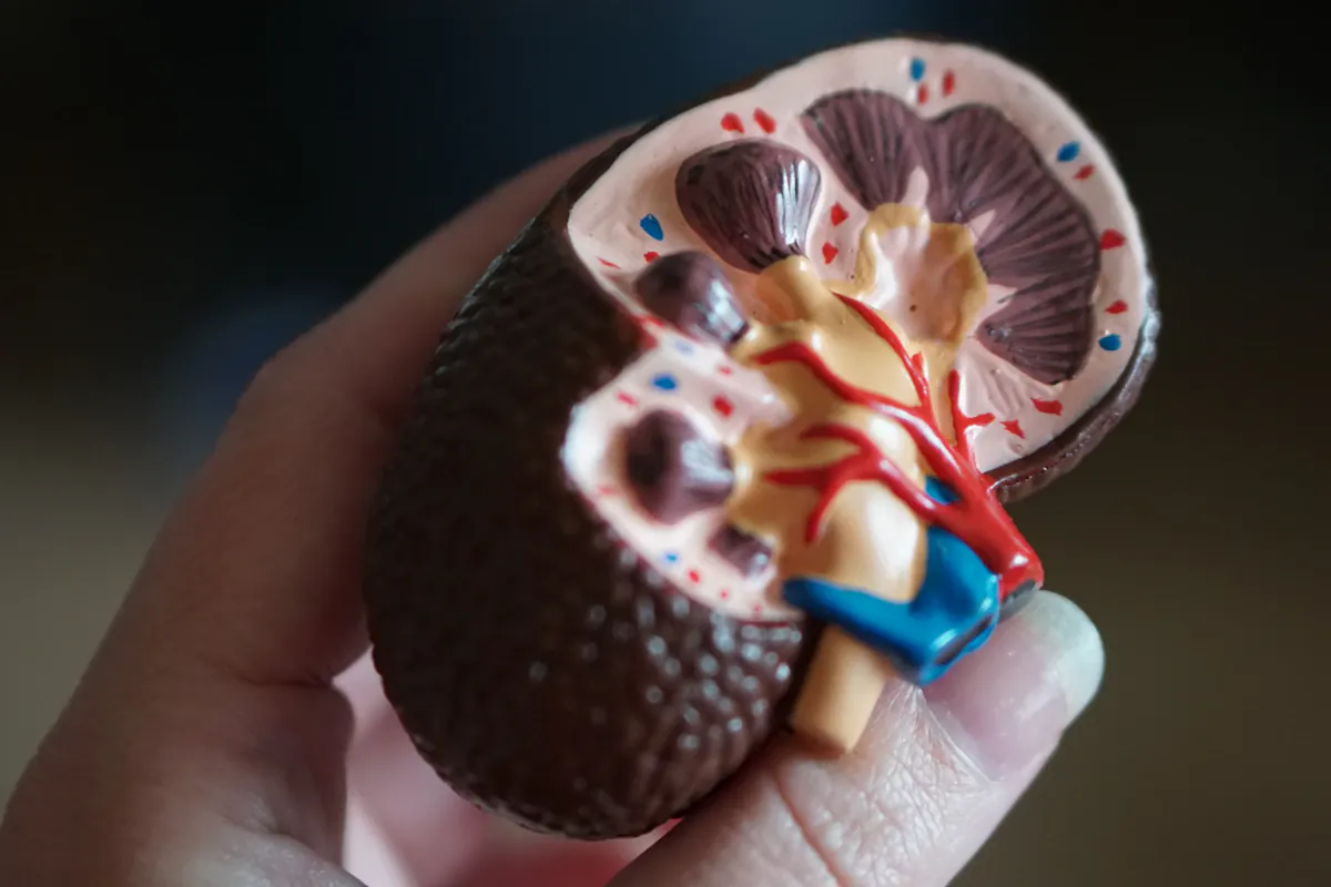 Monitoring Glucose in Diabetic Patients with Chronic Kidney Disease